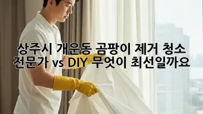 상주시 개운동 곰팡이 제거 청소: 전문가 vs DIY, 무엇이 최선일까요?