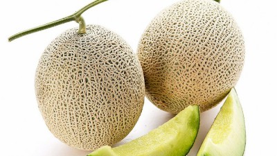 멜론고당도 최저가 득템 후기! 내돈내산 솔직 리뷰